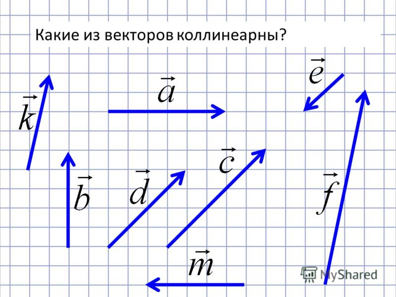 Коллинеарные векторы рисунок