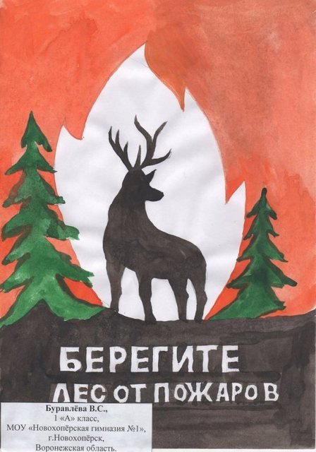 Берегите лес