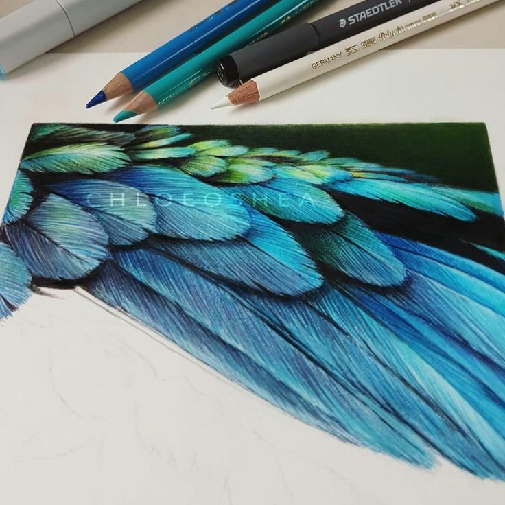 Рисунки цветными карандашами