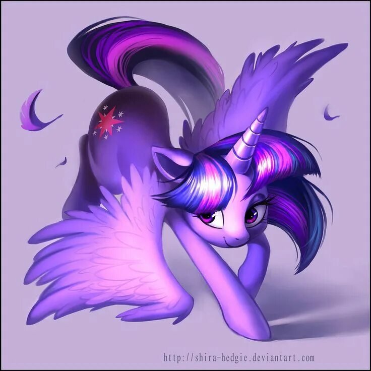 My little Pony Twilight Sparkle