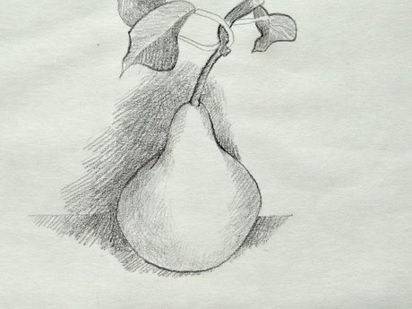 Рисунок фруктов карандашом