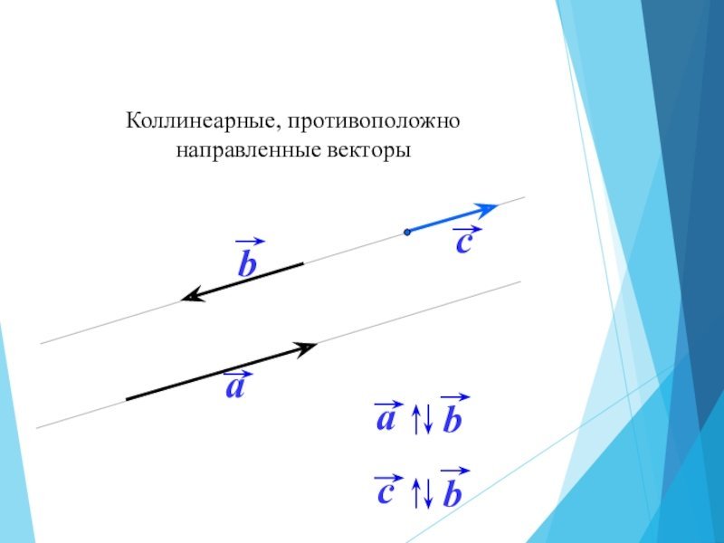 Коллинеарные противоположно направленные векторы изображены