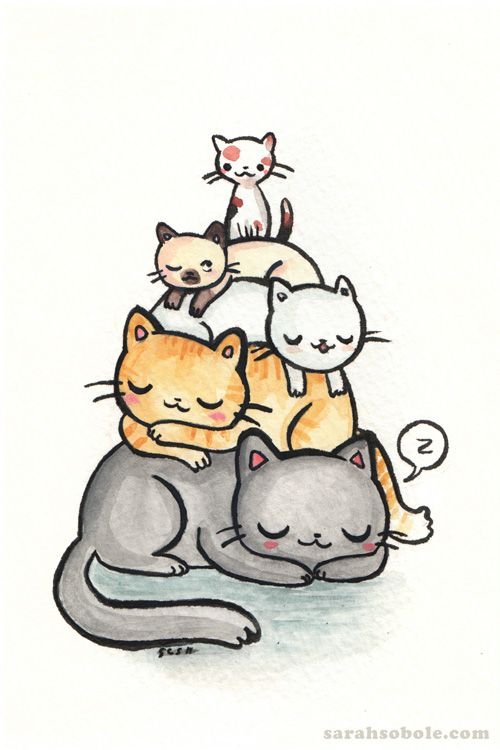 Котик рисунок