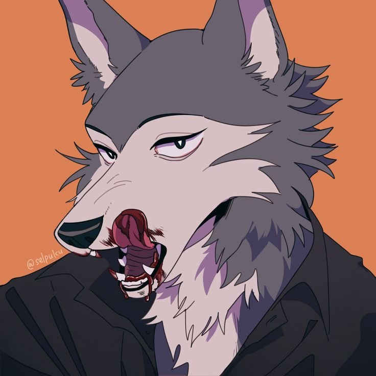 Beastars аниме волк