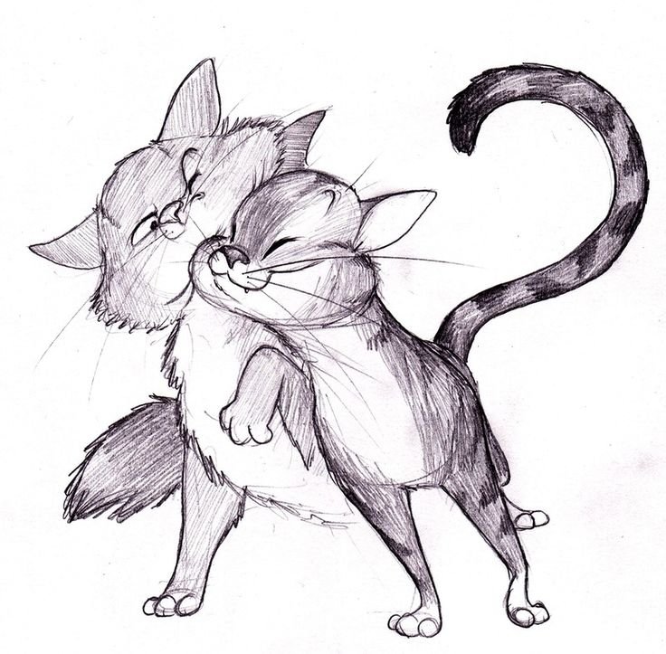 Рисуем кошку