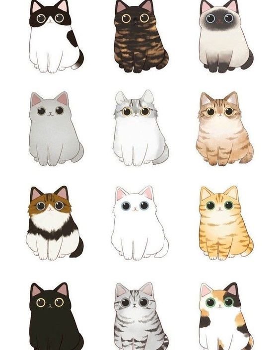 Стикер "котик"