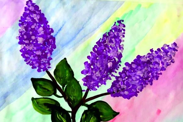 Рисование сирени ватными палочками