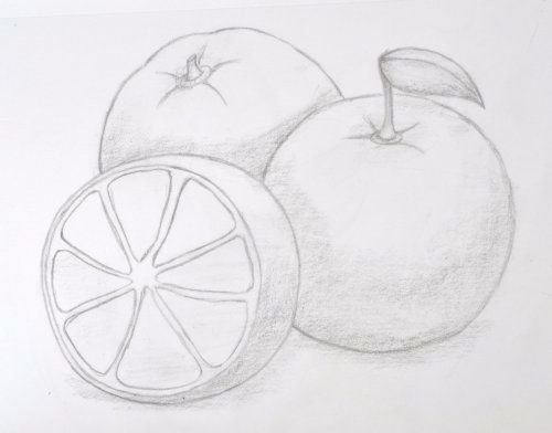 Рисунок фруктов карандашом
