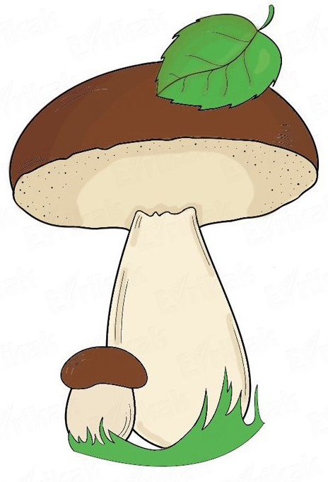 Гриб рисунок