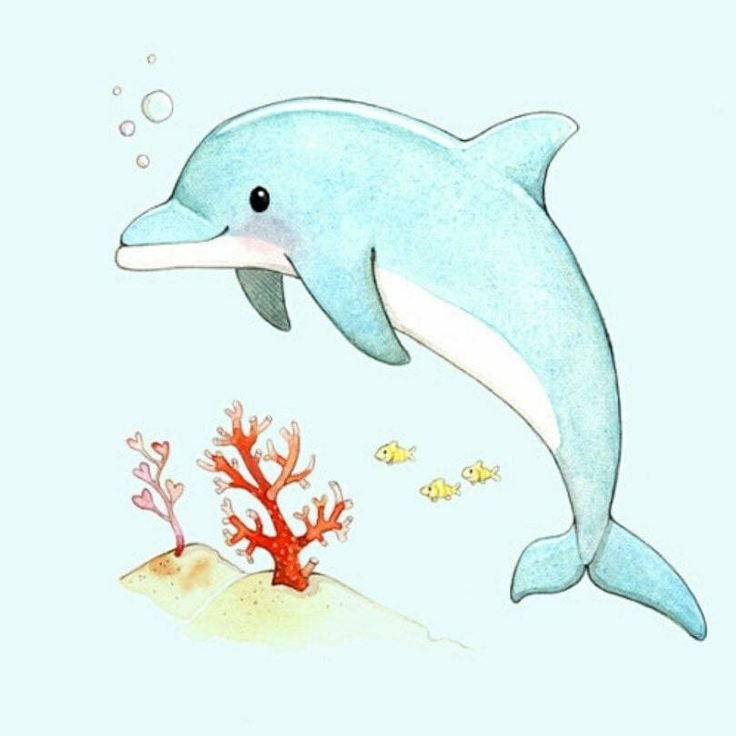 Дельфин рисунок