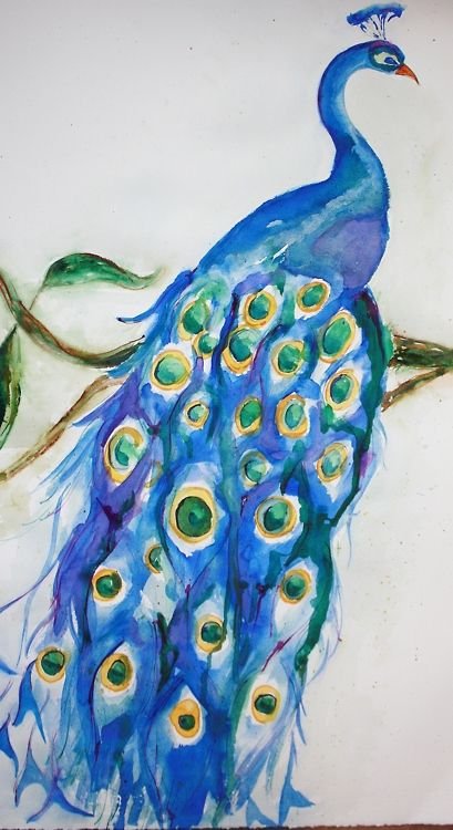 Рисунки красками