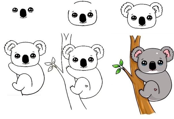 Коала рисунок пошагово