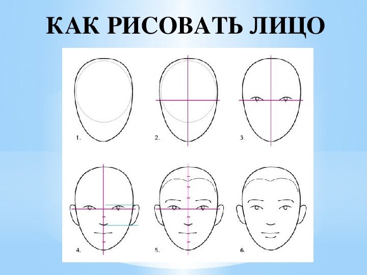 Схема рисования портрета