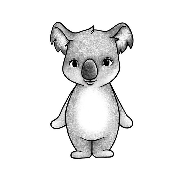 Коала рисунок