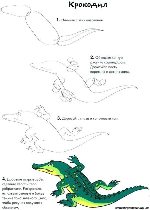 Рисование крокодила с детьми