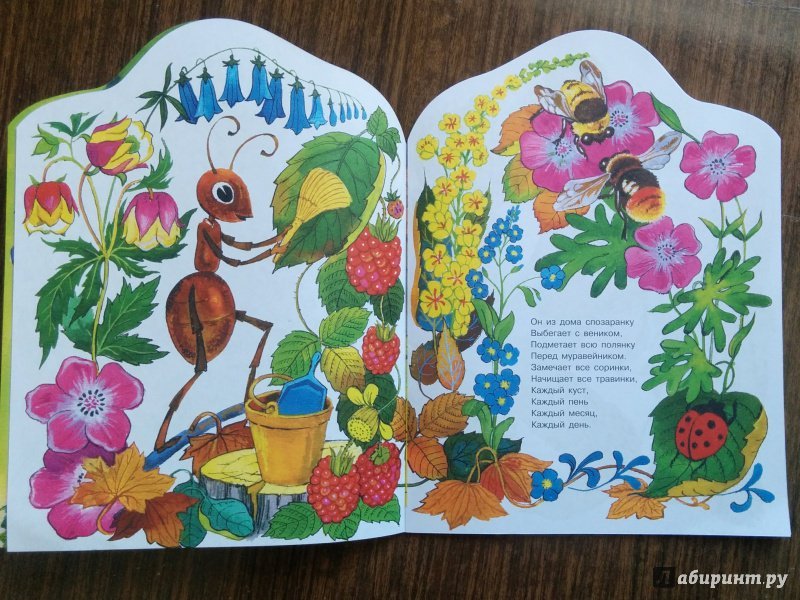 П Синявский рисунок