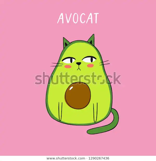 Авокадо котик
