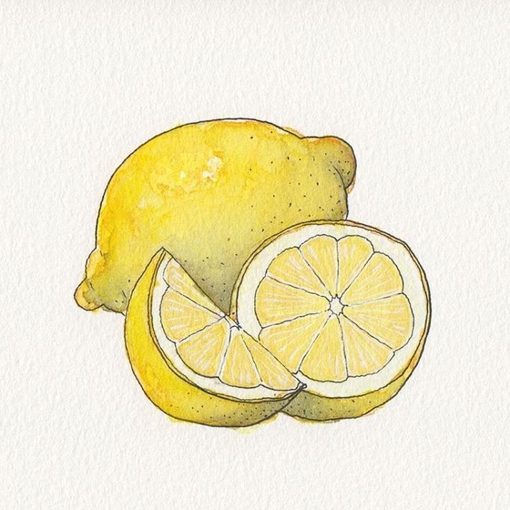 Лимон скетч