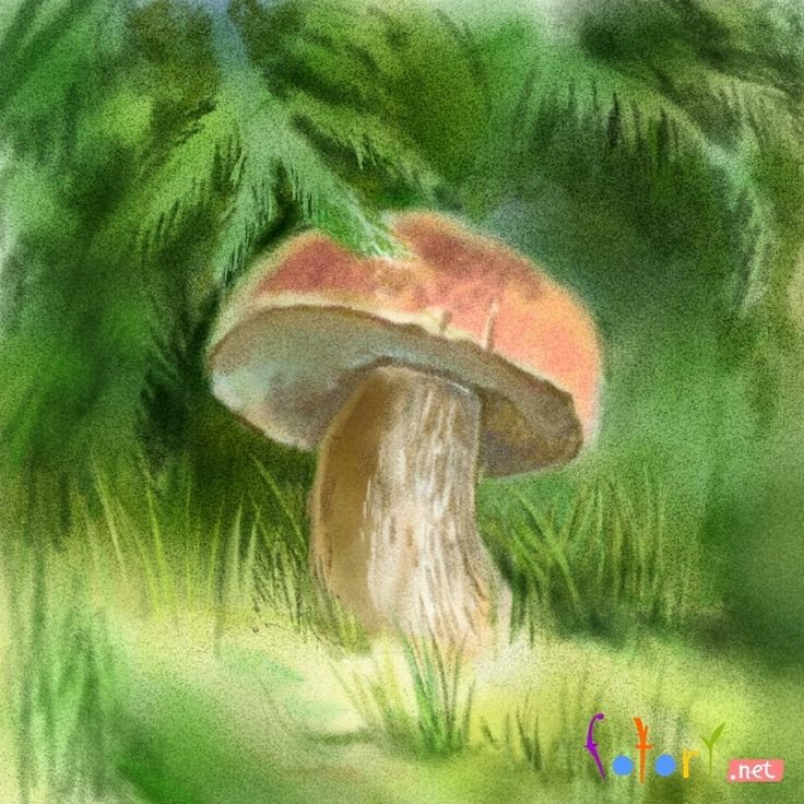 Грибы в лесу рисунок