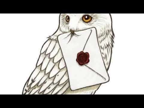 Сова Гарри Поттера Хедвиг