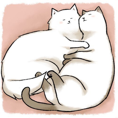 Котики обнимаются рисунок