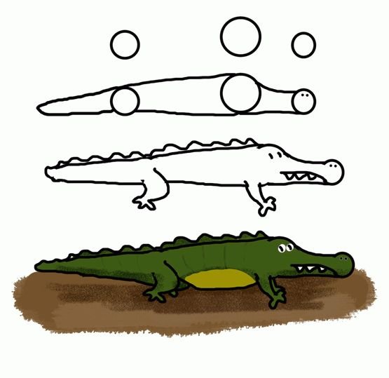 Лёгкие рисунки крокодила