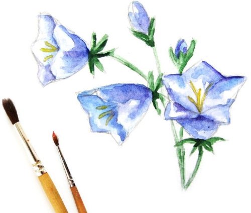 Рисунки красками для начинающих
