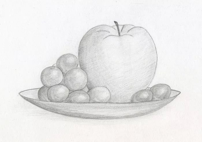 Натюрморт рисунок карандашом