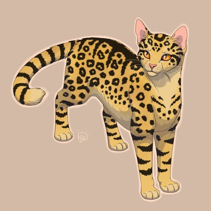 Коты Воители Оцелотка