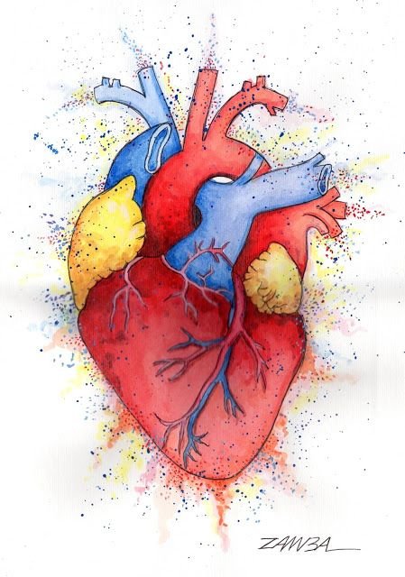 Сердце рисунок