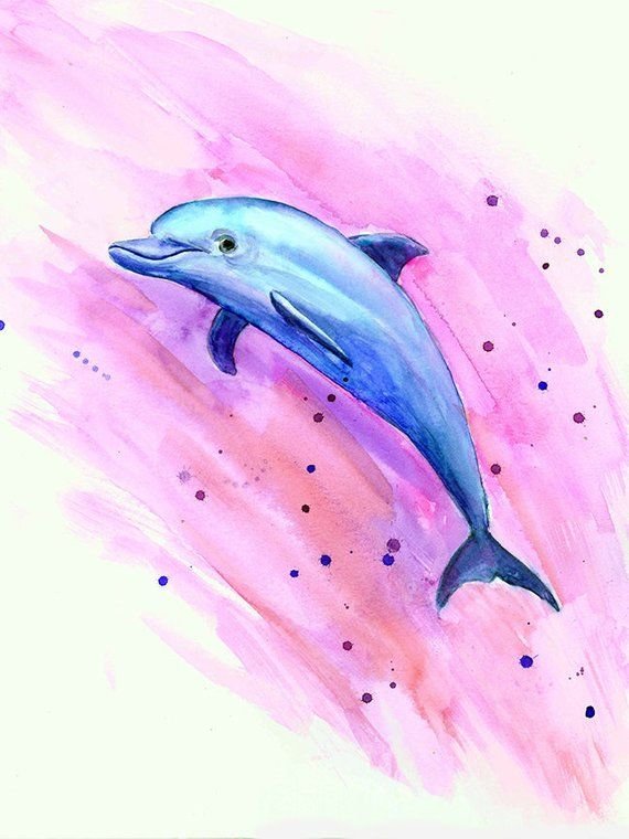 Дельфин рисунок