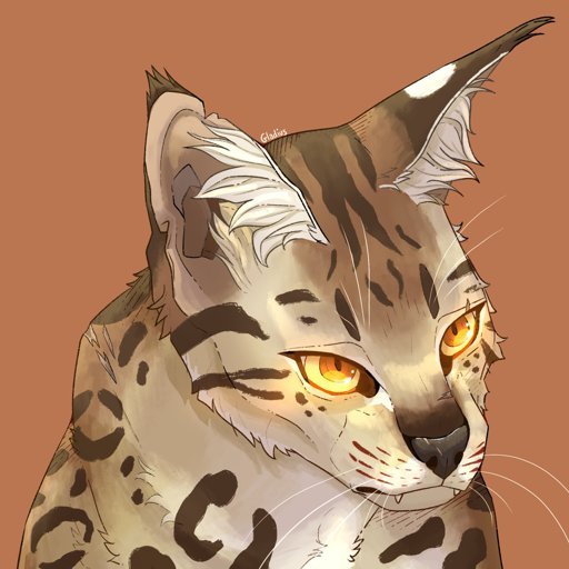 Leopardstar коты Воители