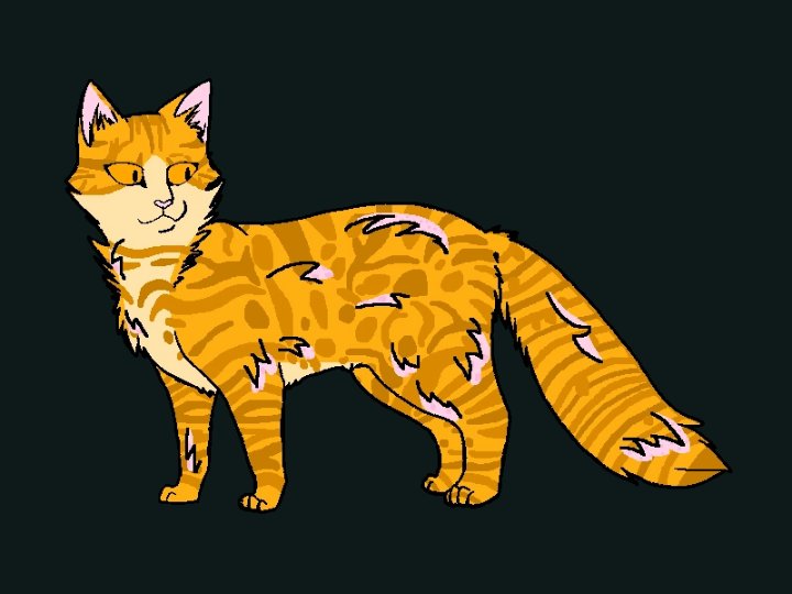 Коты Воители пятнистая звезда арт