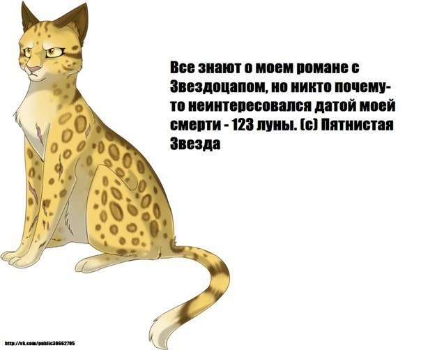 Коты Воители пятнистая звезда и Звездоцап