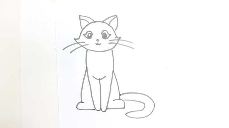 Рисунок кошки для срисовки