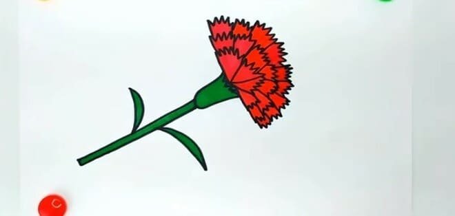 Рисование гвоздики для детей