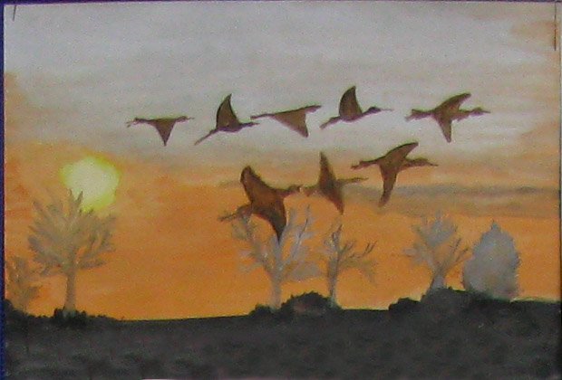 Рисование улетают птицы
