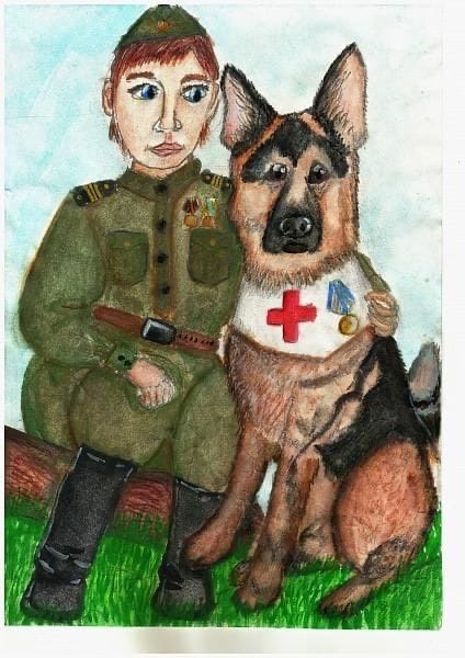 Собаки герои