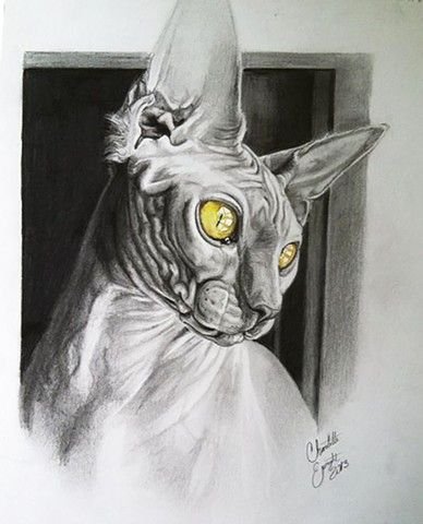 Тату сфинкс эскиз