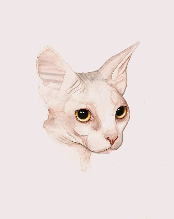 Сфинкс рисунок