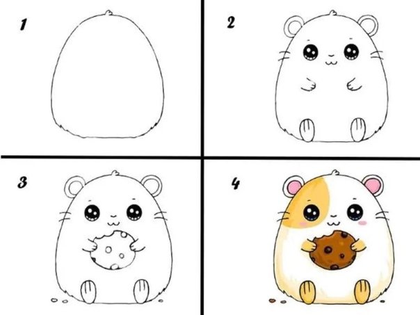Поэтапный рисунок хомяка