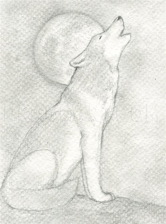 Рисунки карандашом