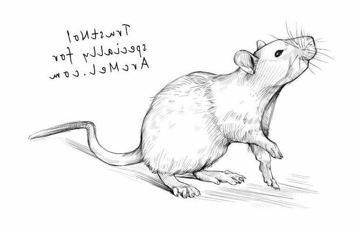 Мышка для рисования