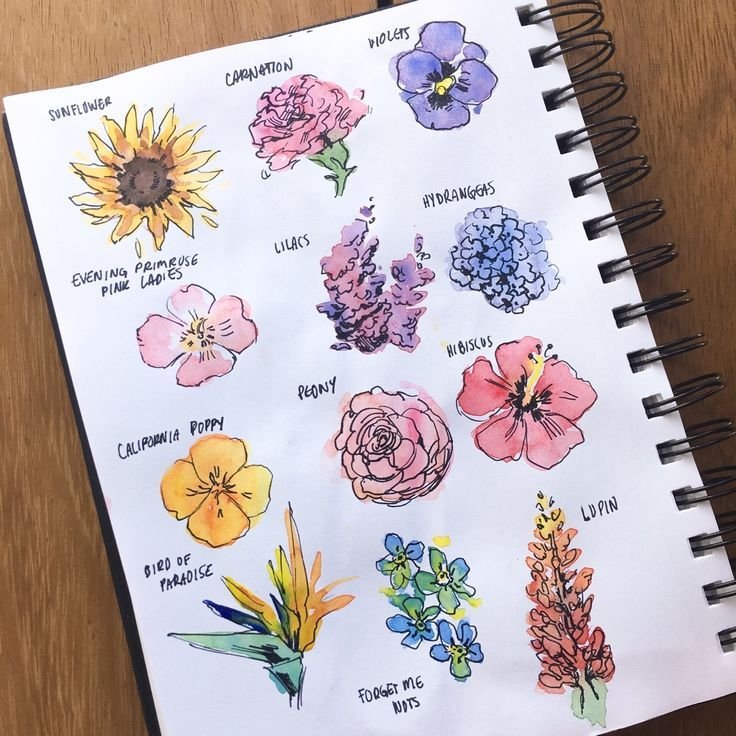 Рисунки для скетчбука