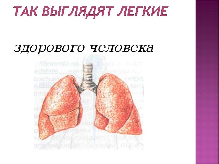 Легкие курильщика и здорового человека