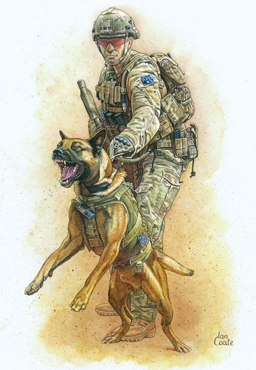 Военная собака арт