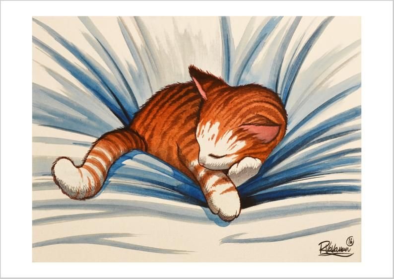 Коты рисунки