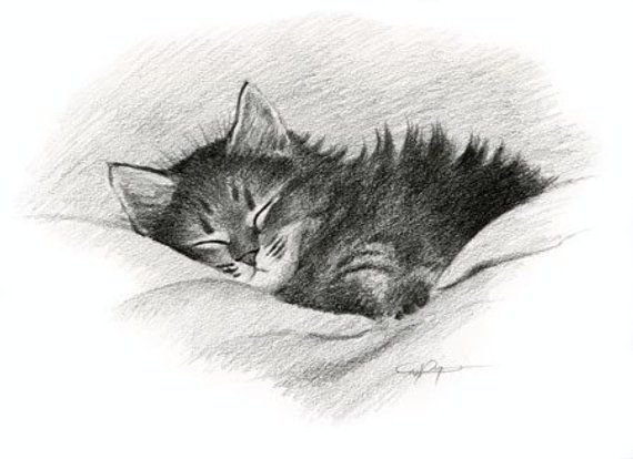 Котенок карандашом