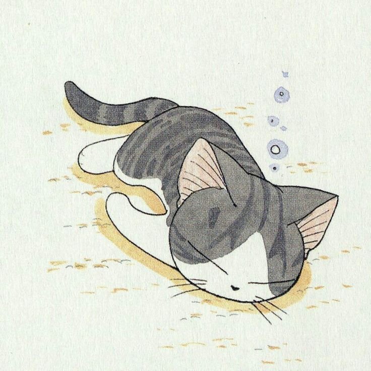 Аниме котики