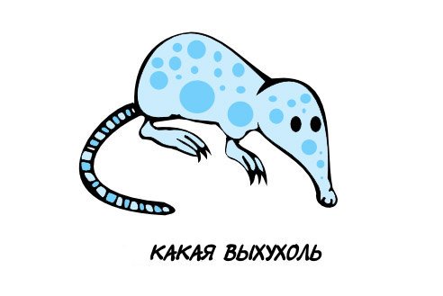 Выхухоль рисунок